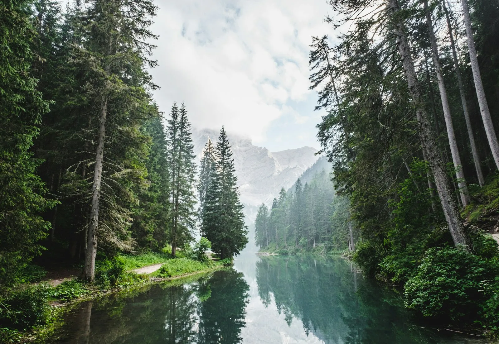 Lac de montagne paisible entouré d'une forêt de sapins dans une lumière douce
